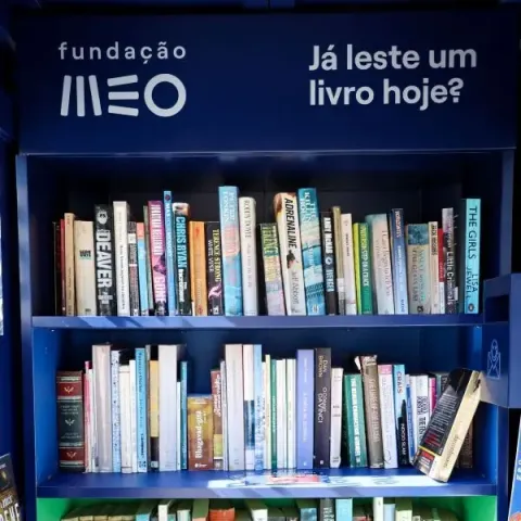 imagem noticias